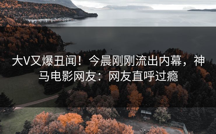 大V又爆丑闻！今晨刚刚流出内幕，神马电影网友：网友直呼过瘾