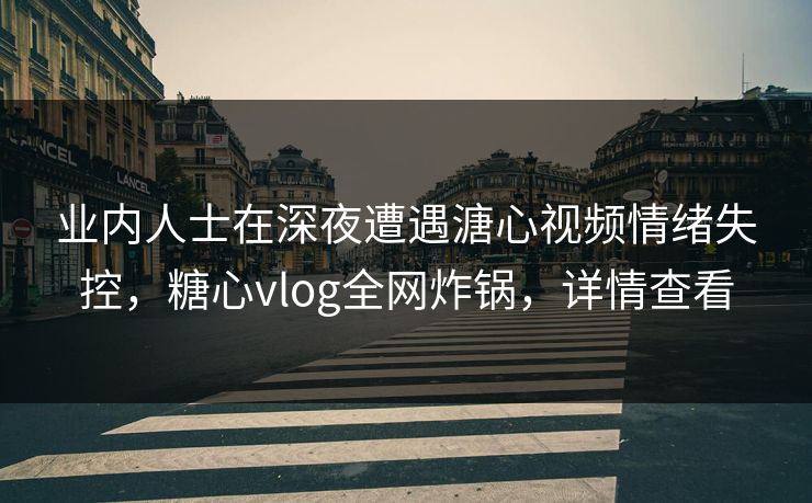 业内人士在深夜遭遇溏心视频情绪失控，糖心vlog全网炸锅，详情查看